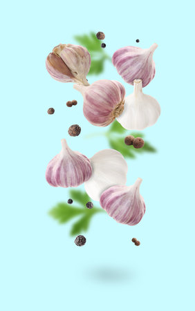 Fresh garlic, peppercorns and parsley falling on light blue backgroundの写真素材