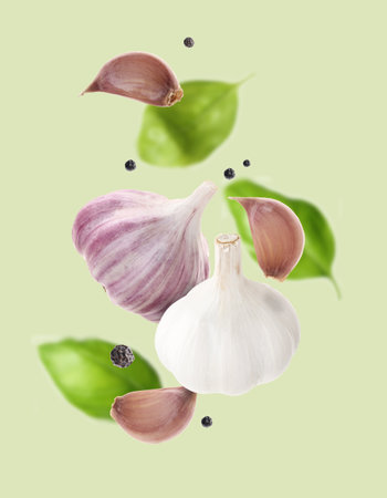 Fresh garlic, peppercorns and basil falling on pale green backgroundの写真素材