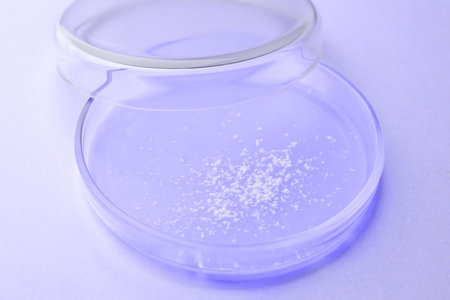 Petri dish with different sample on light violet background, closeup. laboratory glassware