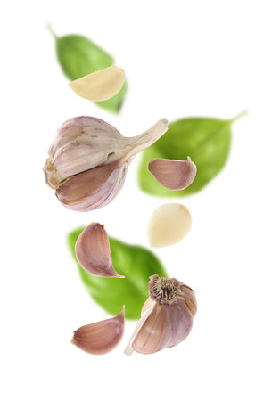 Fresh garlic and basil falling on white backgroundの写真素材