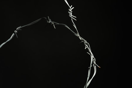 Shiny metal barbed wire on black background