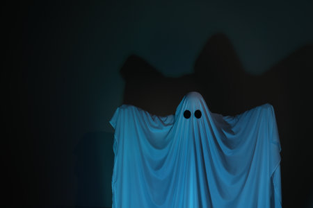 Creepy ghost. Woman covered with sheet on dark background, space for textの写真素材