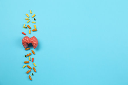 Endocrinology. Capsules and model of thyroid gland on light blue background, top view. Space for...
