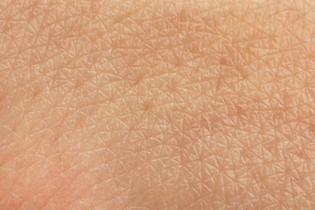 Texture of dry skin as background, macro viewの写真素材
