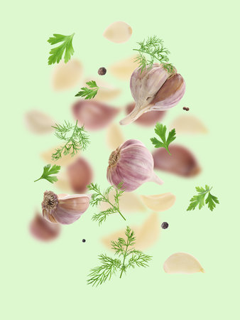 Fresh garlic, peppercorns, parsley and dill falling on pale green backgroundの写真素材