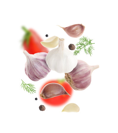 Fresh garlic, peppercorns and dill falling on white backgroundの写真素材