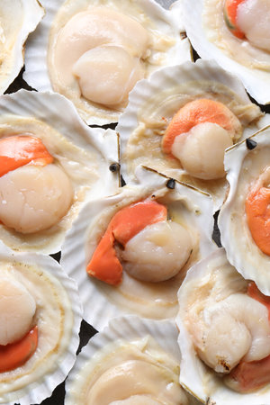 Fresh raw scallops in shells as background, closeupの写真素材