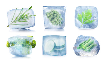 Frozen food. Different vegetables and herbs in ice cubes isolated on white, setの写真素材
