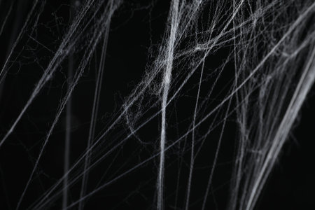 Creepy white cobweb on black background, closeupの写真素材
