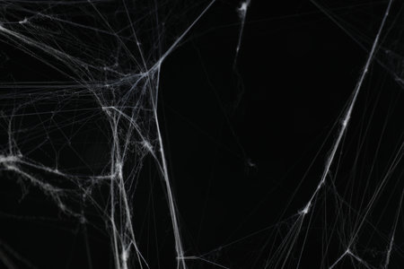 Creepy white cobweb on black background, closeupの写真素材