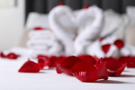 Honeymoon. Swans made with towels and beautiful rose petals on bed, selective focusの写真素材