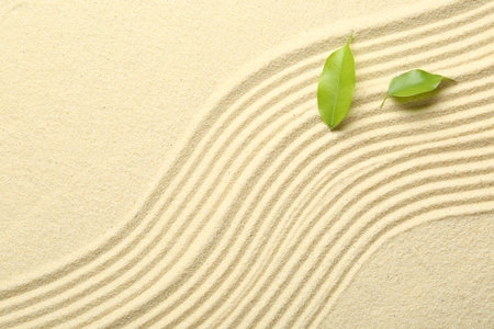 Zen rock garden. Wave pattern and green leaves on beige sand, top viewの写真素材