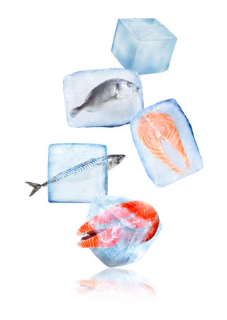 Frozen food. Different seafood in ice cubes falling on white backgroundの写真素材