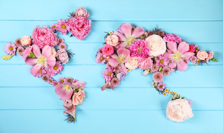 World map made of different beautiful flowers on light blue wooden table, flat layの写真素材
