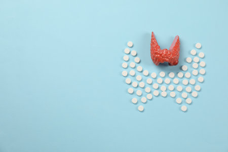 Endocrinology, Pills and model of thyroid gland on light blue background, flat lay. Space for text
