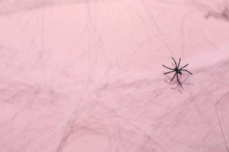 Cobweb and spider on pink background, top viewの写真素材