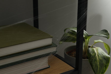 Cobweb and books on rack indoors, closeupの写真素材