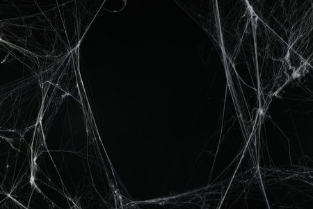 Creepy white cobweb on black background. space for textの写真素材