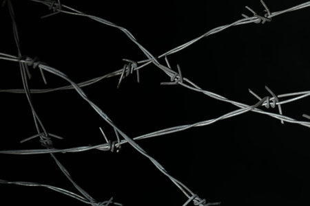 Shiny metal barbed wire on black background