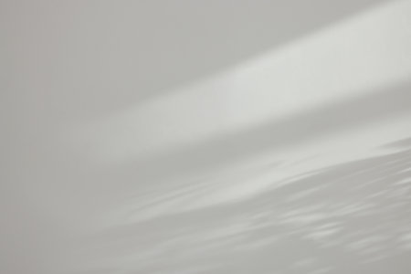 Shadows from plant on white wall indoors