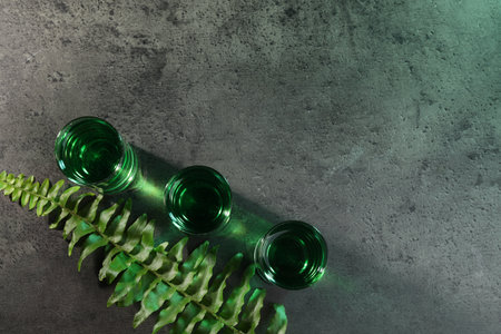 Absinthe in shot glasses and fern leaf on gray table, flat lay with space for text. Alcoholic drinkの写真素材