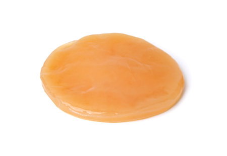 Making kombucha. Scoby fungus isolated on white