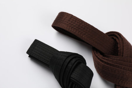 Brown and black karate belts on white background, flat layの写真素材