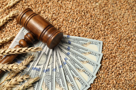 Dollar banknotes, wooden gavel and wheat ears on grains, closeup. Agricultural businessの写真素材