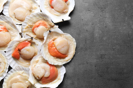 Many fresh raw scallops in shells on gray table, flat lay. Space for text
