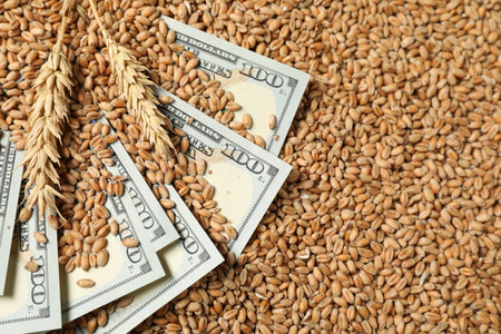 Dollar banknotes and wheat ears on grains, above view. Agricultural businessの写真素材