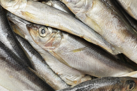 Fresh raw sprats as background, top viewの写真素材