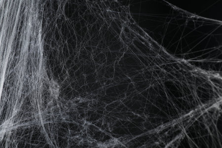 Creepy white cobweb on black background, closeupの写真素材