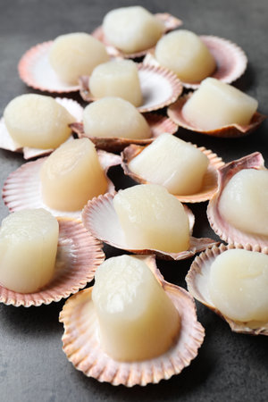 Many fresh raw scallops in shells on gray table, closeup
