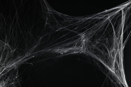 Creepy white spider web on black backgroundの写真素材