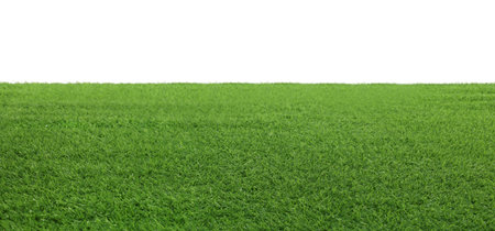 Meadow with bright green grass on white background, banner design