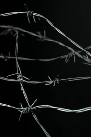 Metal barbed wire on black background, closeup