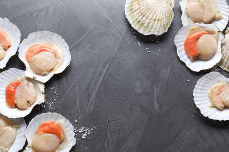 Fresh raw scallops on gray table, flat lay. Space for text