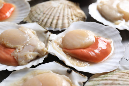 Fresh raw scallops with shells on table, closeupの写真素材