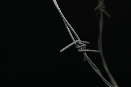 Metal barbed wire on black background, closeup. Space for textの写真素材