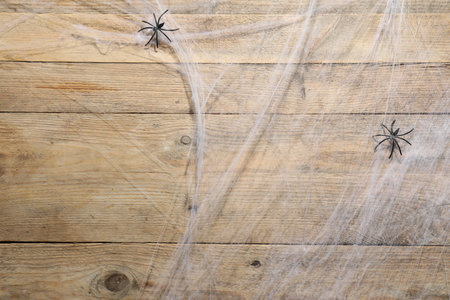 Cobweb and spiders on wooden surface, top view. Space for textの写真素材