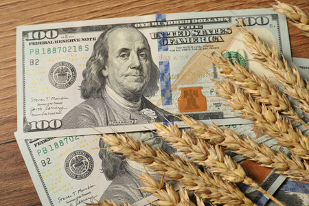 Dollar banknotes and wheat ears on wooden table, top view. Agricultural businessの写真素材