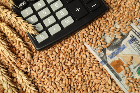 Dollar banknotes, calculator and wheat ears on grains, closeup. Agricultural businessの写真素材