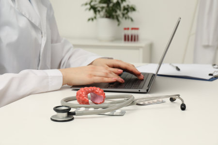 Endocrinologist working at table, focus on stethoscope and model of thyroid glandの写真素材