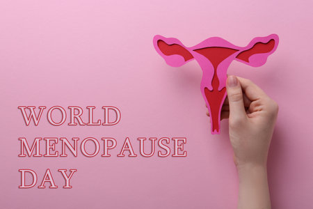 World Menopause Day. Woman holding paper uterus on pink background, top viewの写真素材