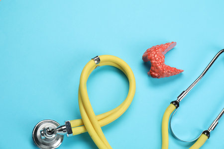 Endocrinology. Stethoscope and model of thyroid gland on light blue background, top viewの写真素材