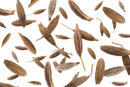 Many cumin seeds falling on white backgroundの写真素材