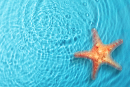 Starfish in sea water, top view. Space for textの写真素材