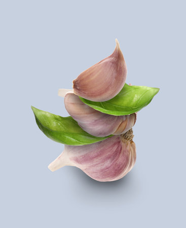 Stacked heads and clove of garlic and basil leaves on light blue backgroundの写真素材