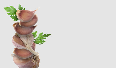 Stacked heads and cloves of garlic and parsley on light background, space for text. Banner designの写真素材