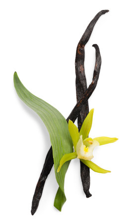 Vanilla pods, beautiful flower and green leaf isolated on whiteの写真素材